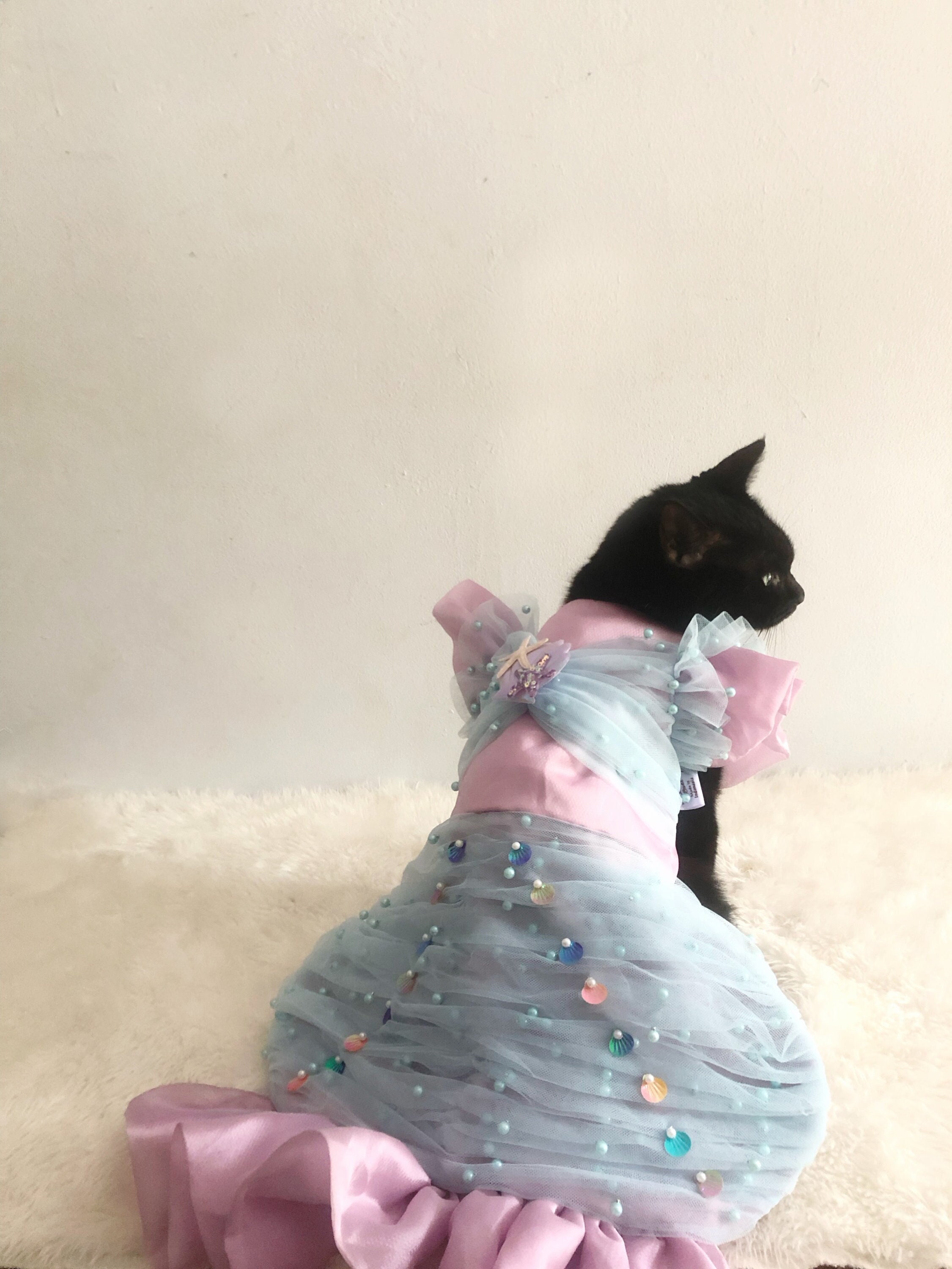 Princess Dress Cat Dress Oasis Oasis Cat And Dog Dress Cheap