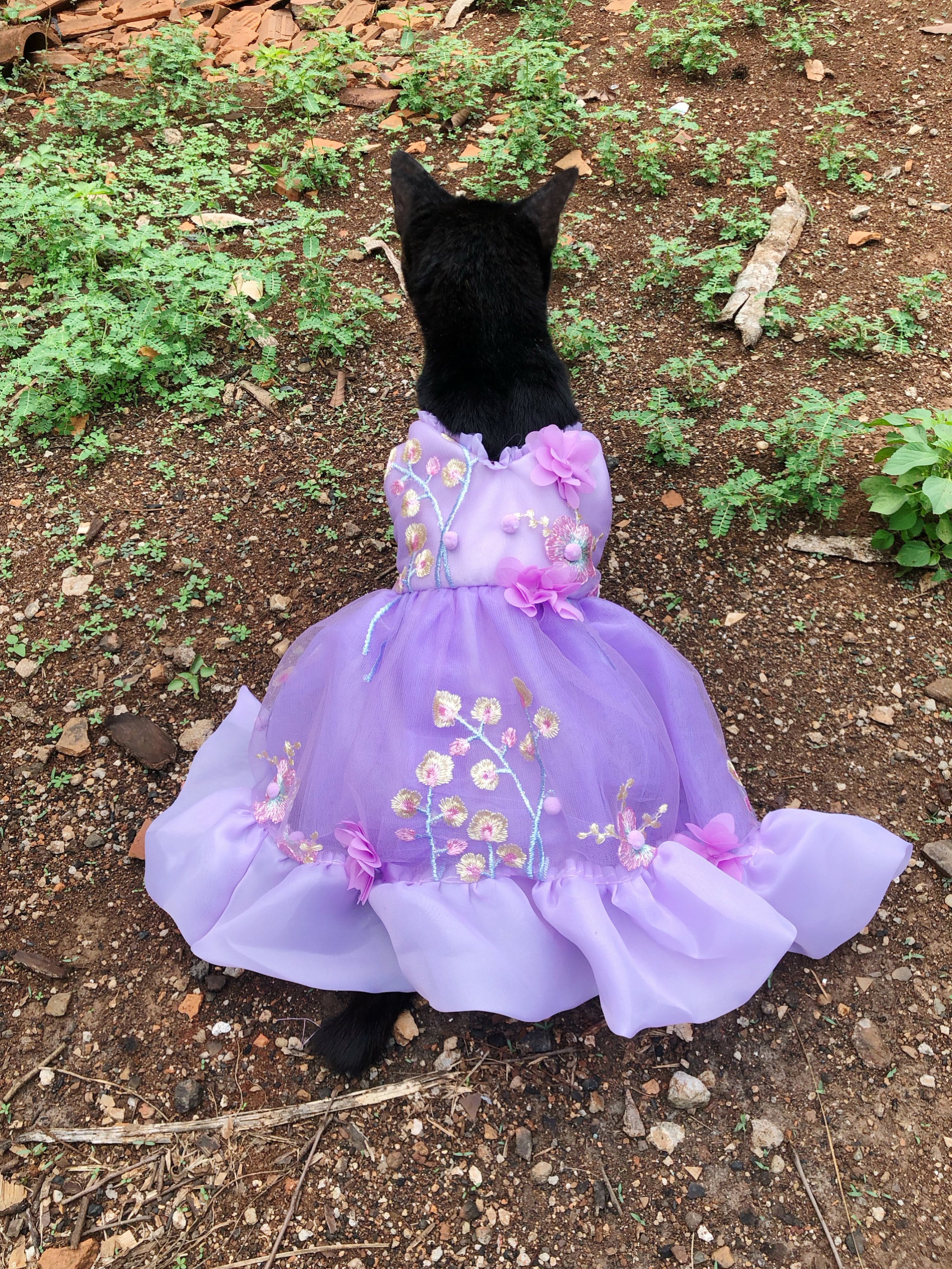 purple and black quince dresses Vizcaya by Morilee Metallic Butterfly Quince Dress 89429