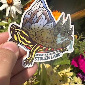 May include: A sticker featuring a turtle with a mountain and forest scene on its shell. The turtle has yellow and brown stripes. The sticker includes the text "NO ONE IS ILLEGAL ON STOLEN LAND."