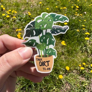 Talk Dirt to Me Monstera Plant Vinyl Sticker – Waterproof Funny Plant Lover Decal for Laptop, Water Bottle, Journal, Garden Gift