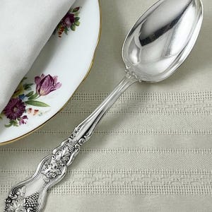 May include: A polished silver spoon featuring an ornate handle with detailed embossed grape and leaf motifs. The spoon has a smooth, reflective oval bowl and a decorative stem that transitions into a wide, textured base with intricate botanical patterns.