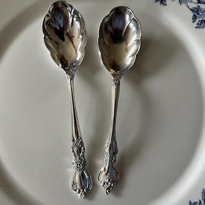 May include: Two silver serving spoons with a leaf-shaped bowl and ornate handle details. The spoons are placed on a white plate with a blue floral pattern around the rim. The spoons are reflective.