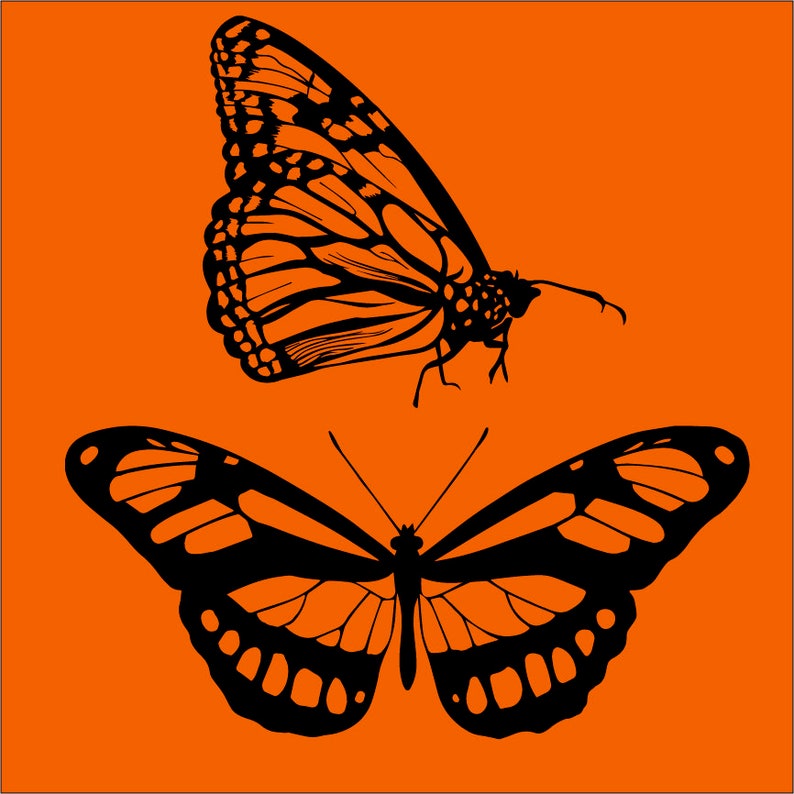 Free Free 322 Silhouette Monarch Butterfly Svg SVG PNG EPS DXF File