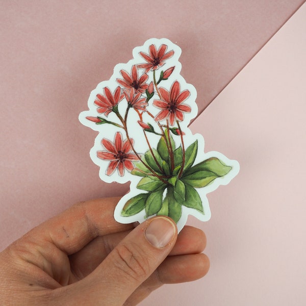 Vinyl Sticker Planner Sticker Laptop Sticker Water Bottle Sticker Flower Sticker Watercolor Sticker Pink Wildflower Sticker