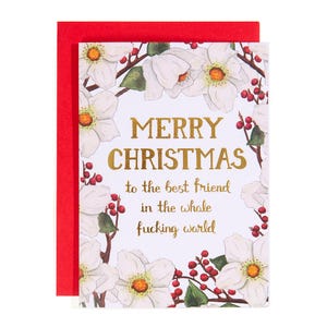Divertente biglietto di auguri per le feste Divertente biglietto di Natale Biglietto di Natale per il migliore amico - Buon Natale al migliore amico in tutto il fottuto mondo