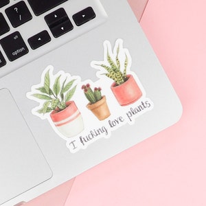 Sticker plante Sticker plante en pot Sticker succulentes - I Fucking Love Sticker plantes