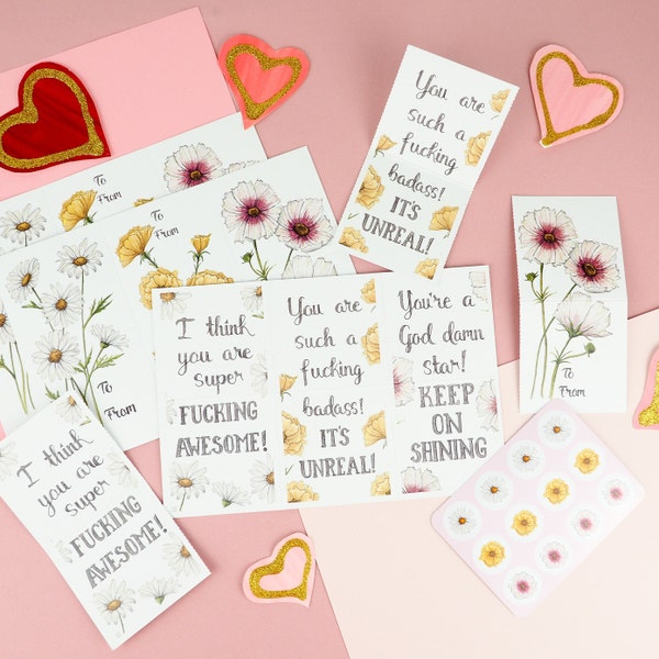 Adult Valentines Day Card Set- 12 Pack of Mini Cards with Sticker Seals - Funny Friendship Card Pack Cards Naughty Card Set of 12 Cards