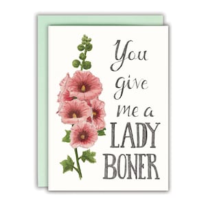 Funny Anniversary Card Funny Valentines Day Card  - You Give Me a Lady Boner