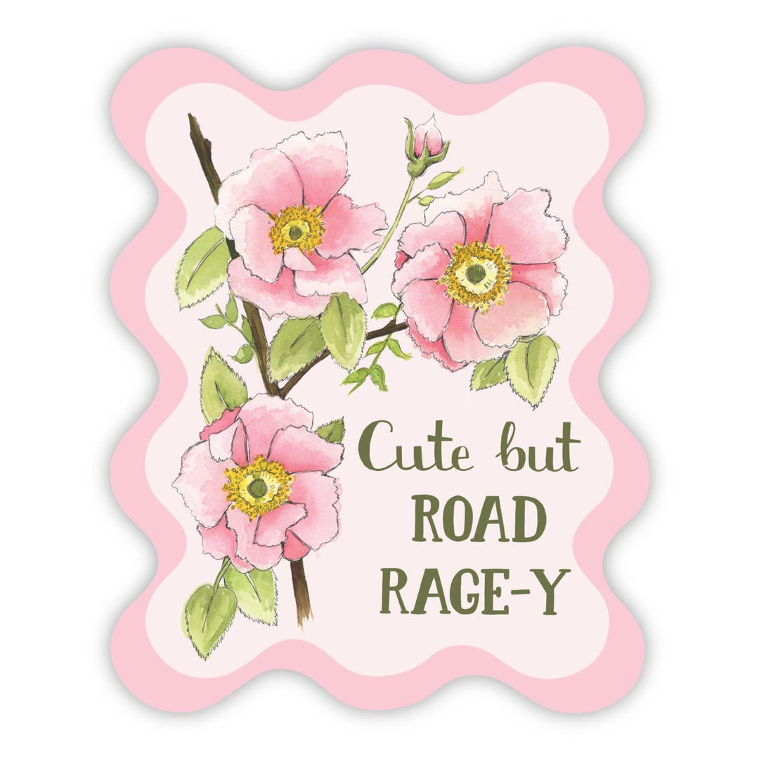 Funny Bumper Sticker Vinyl Sticker Road Rage Sticker Driving Sticker ...