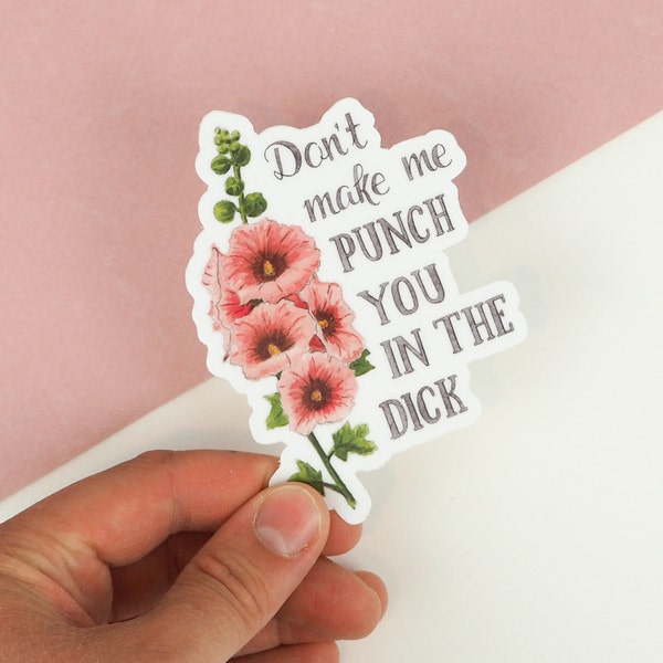 Funny Vinyl Sticker Funny Laptop Sticker Floral Sticker Planner Sticker Waterbottle Sticker- Don't Make Me Punch You In the Dick Sticker