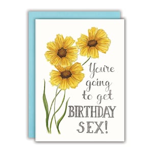 Carte d'anniversaire sexy Carte de joyeux anniversaire drôle Carte d'anniversaire pour adulte Carte d'anniversaire grossier - Vous allez avoir une fête d'anniversaire