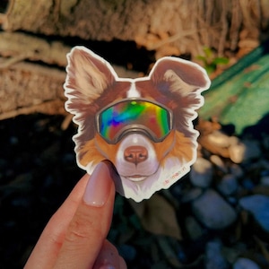 May include: A sticker featuring a dog with brown and white fur, wearing iridescent ski goggles. The dog's nose is brown, and the sticker has a white border. The background is blurred, with a natural outdoor setting.