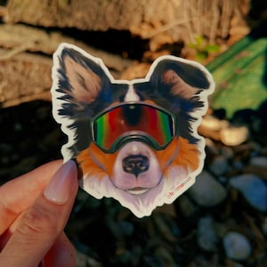May include: A sticker featuring a dog's face wearing ski goggles with a rainbow lens. The dog has black, brown, and white fur. The sticker is held by a hand with a blurred natural background.