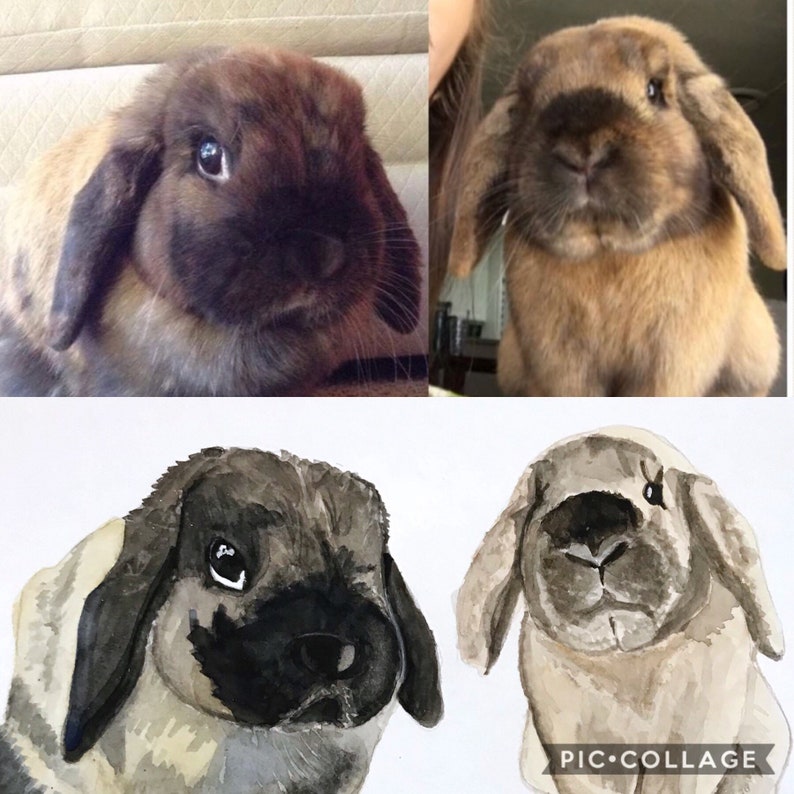 custom watercolor pet portrait Watercolor pet portrait pet portrait watercolor pet painting pet painting custom watercolor pet painting