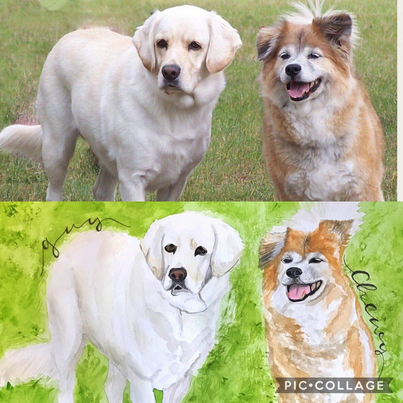 custom watercolor pet portrait Watercolor pet portrait pet portrait watercolor pet painting pet painting custom watercolor pet painting