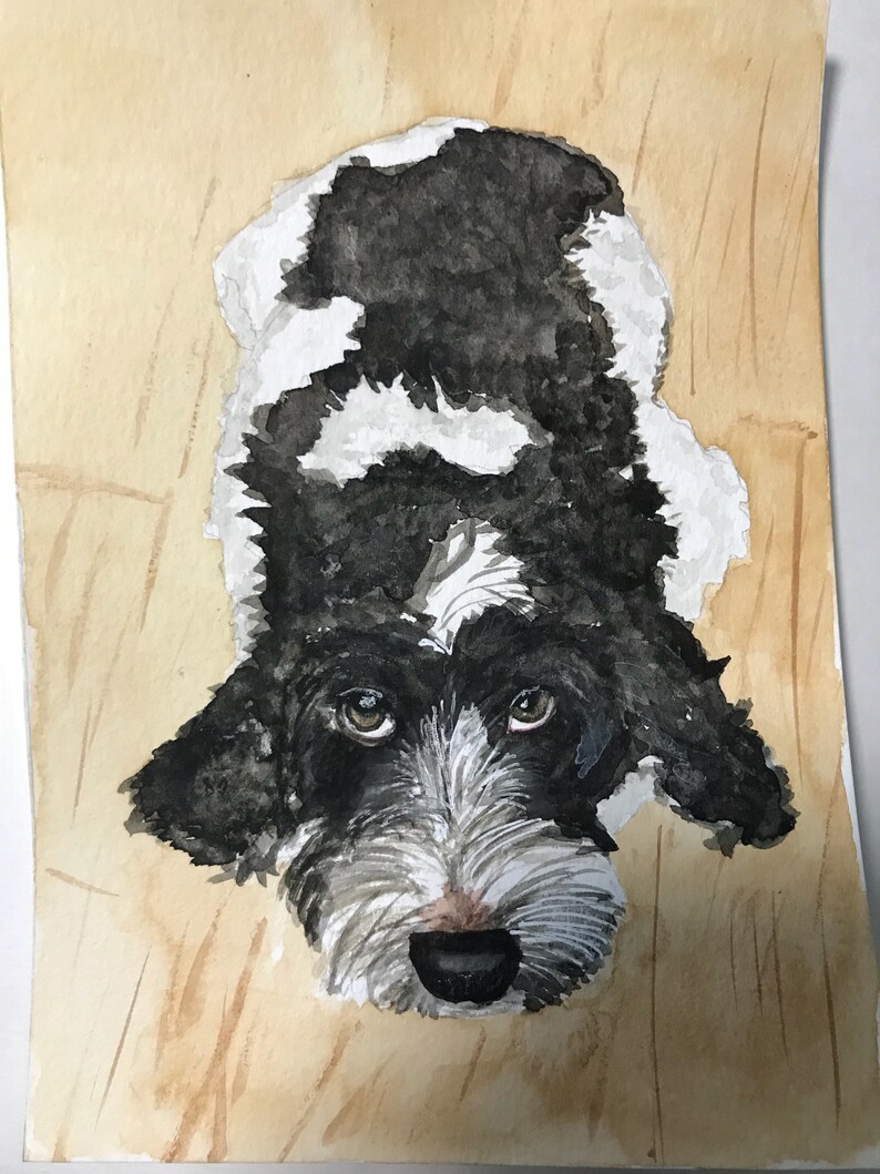 custom watercolor pet portrait Watercolor pet portrait pet portrait watercolor pet painting pet painting custom watercolor pet painting