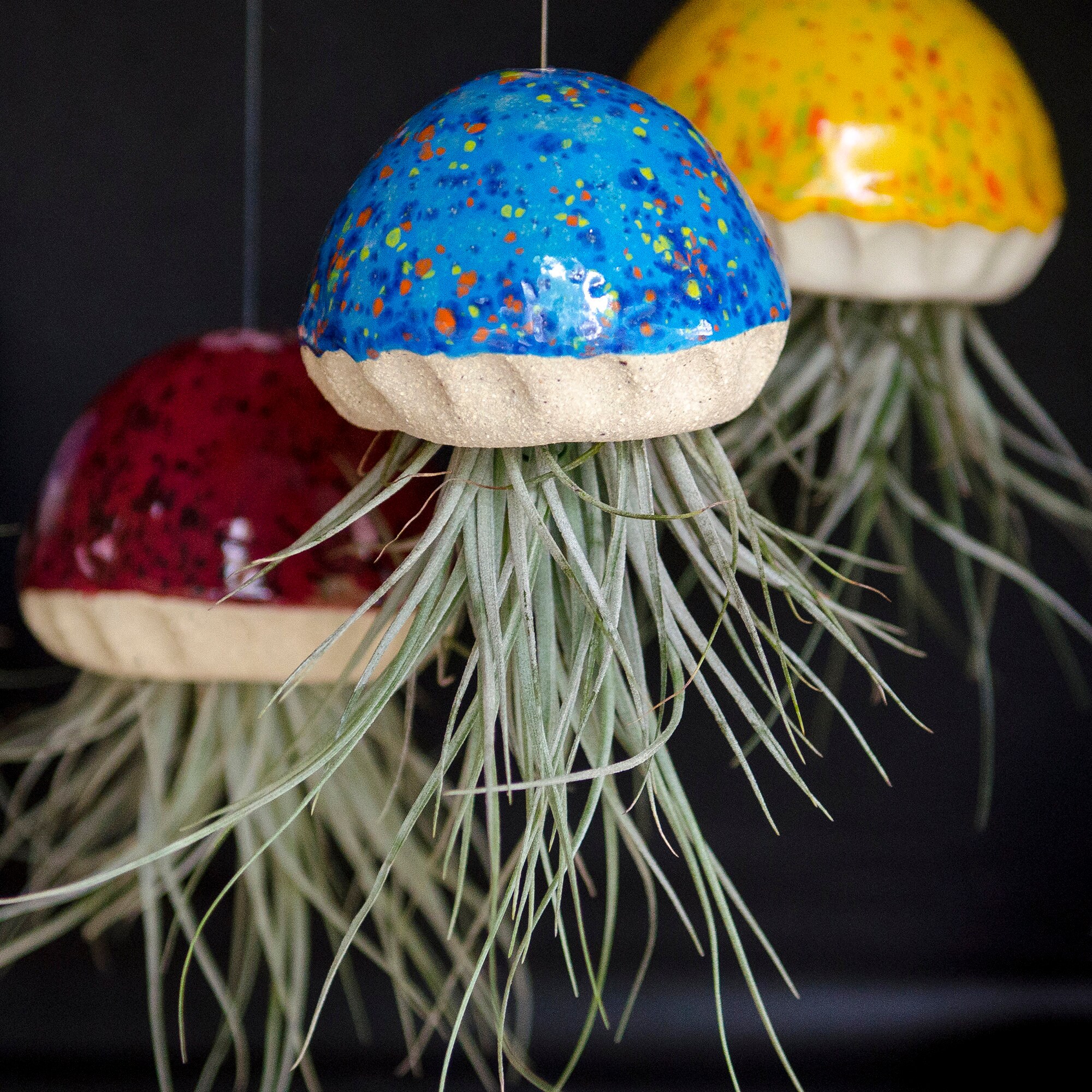 Jellyfish Air Plant Holder Gift Idea Presents Quirky Etsy