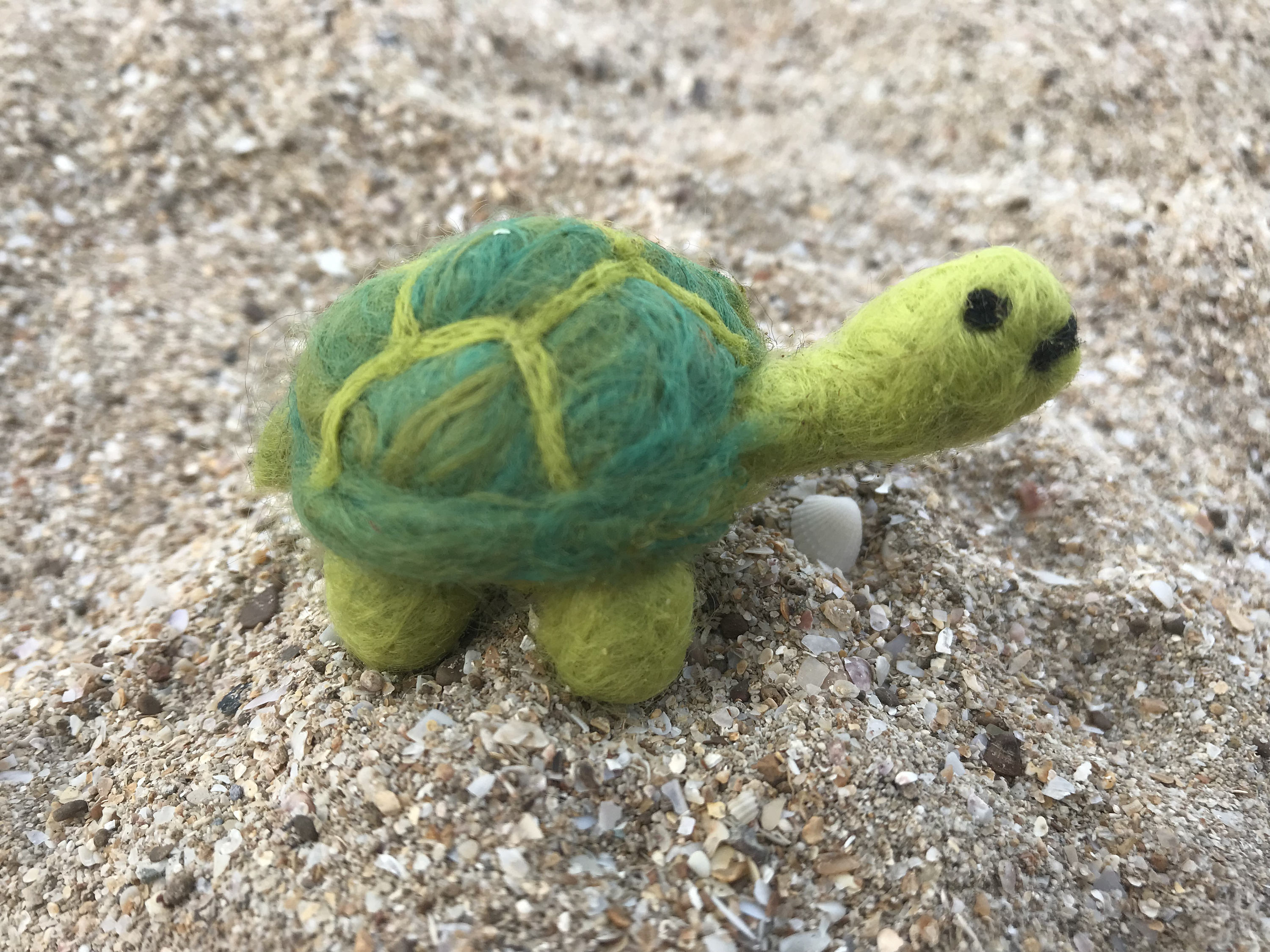 Needle felted turtle OOAK Etsy