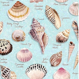 1/2 yard - Seashell Wishes - Shell Collector Notebook - Aquamarine, cotton fabric