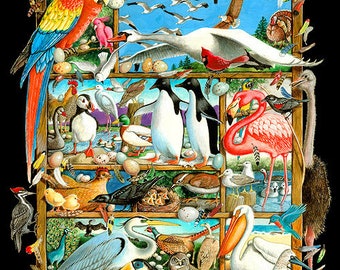 May include: A colorful illustration of various birds, including a parrot, penguins, and a flamingo, arranged within a wooden framed structure. The artwork features eggs, nests, and other avian elements, creating a vibrant and detailed composition.