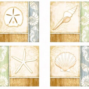 May include: Four square tiles with a beach theme. Each tile features a different seashell, a starfish, and a sand dollar. The tiles have a rustic wood background with a light blue and green border.