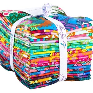 US tariffs PAID ( DHL Service ) - 22 pcs ( Original Factory Cut ) Fat Quarter Bundle Bright Eyes by Anna Maria Horner