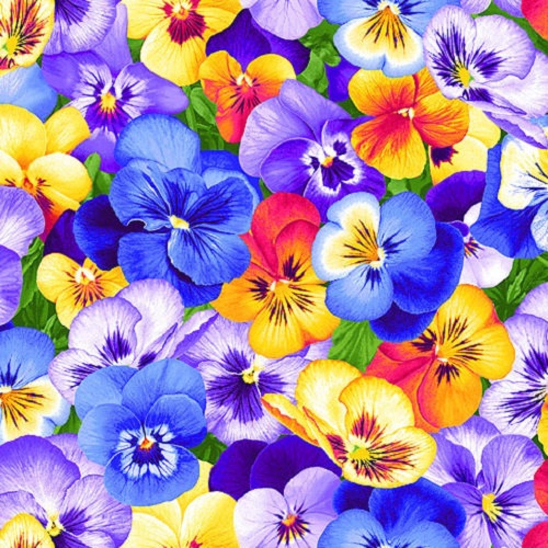 Timeless Treasures Garden Bouquet - Adorable Pansies - 100% Cotton - Etsy