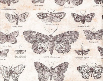 1/2 yard Eclectic Elements -2982-vlinders-medium van Tim Holtz, katoenstof