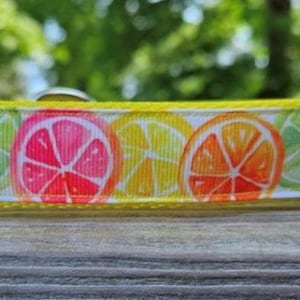 Citrus Fruit Slices 1&quot; Handmade Adjustable Dog Collar
