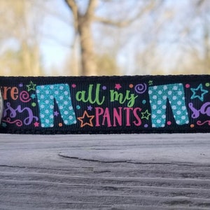 All My Pants Are Sassy w/ Sparkly Teal Pants 1&quot; Handmade Adjustable Dog Collar