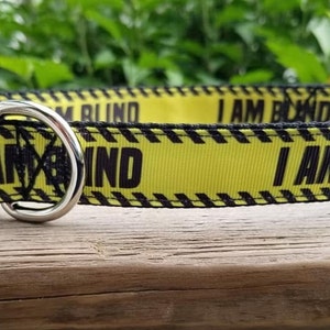 I AM BLIND 1&quot; Handmade Adjustable Dog Collar