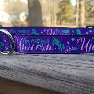 Sparkly "I'm Really A Unicorn" Purple, Pink, Teal & Blue 1" Handmade Adjustable Dog Collar