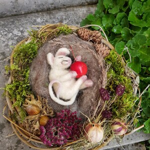 May include: A handcrafted felt mouse figurine, nestled in a woven wreath with moss, dried grasses, and a red cherry. The mouse is white with pink accents, lying on its back. The wreath includes pinecones, nuts, and purple flowers.