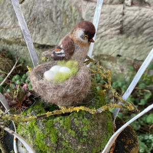May include: A brown and white felt bird sitting in a brown felt nest with two white eggs. The nest is on a mossy rock with a metal background.