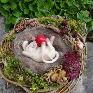 May include: A handcrafted felted mouse figurine resting in a nest of natural materials. The mouse is white with pink accents, holding a red apple. The nest is surrounded by moss, dried flowers, and a woven twig base, creating a whimsical, nature-inspired scene.