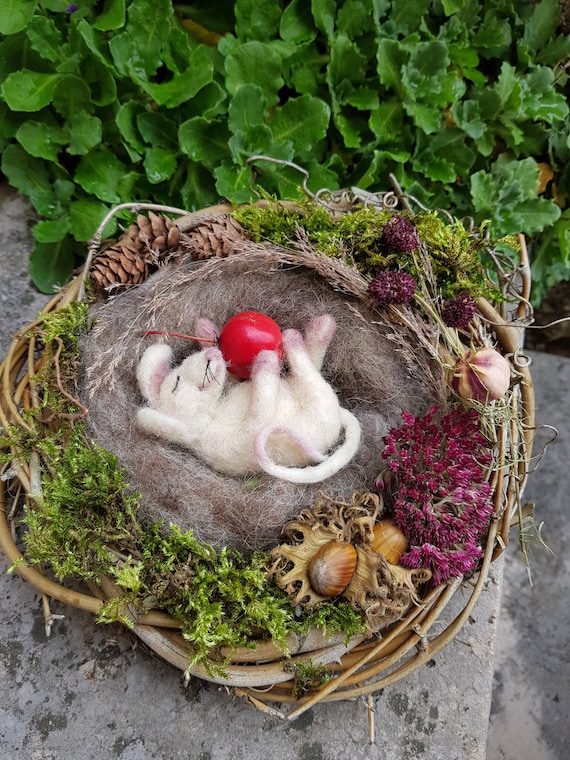 Filzmaus im Nest Herbstdeko Winterdeko Geschenk für Zuhause, für werdende Eltern, nachhaltiges Geschenk aus Naturmaterialien