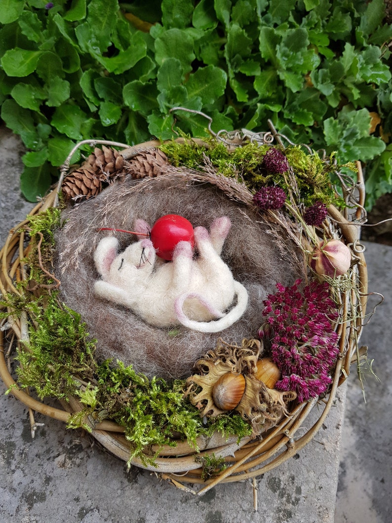 May include: A handcrafted felted mouse figurine resting in a nest of natural materials. The mouse is white with pink accents, holding a red apple. The nest is surrounded by moss, dried flowers, and a woven twig base, creating a whimsical, nature-inspired scene.