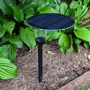 May include: A black solar-powered garden light with a circular top panel and a clear conical lens section. The light features a slender black stake base designed for insertion into the ground, providing a functional outdoor lighting solution.