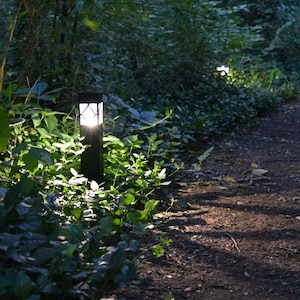 Puede incluir: Dos luces de camino solares de metal negro iluminan un sendero a través de un exuberante bosque verde. Las luces están hechas de metal y tienen un panel de vidrio transparente.