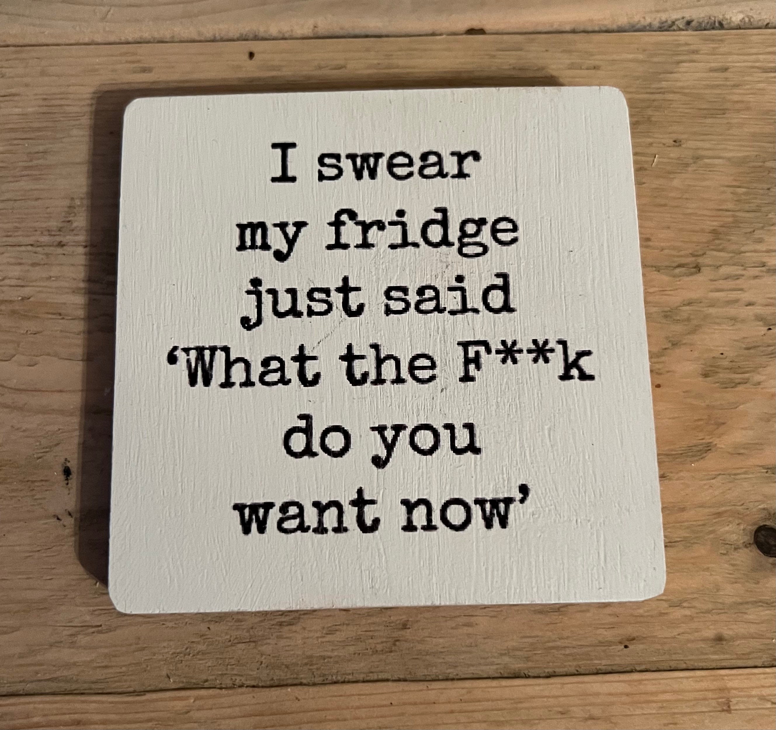 250 Piece F*cking Rude Fridge Magnets - Adult Humor Word Set