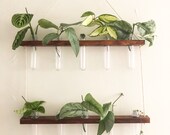 Hanging propagation station 10 vial flower vase decor