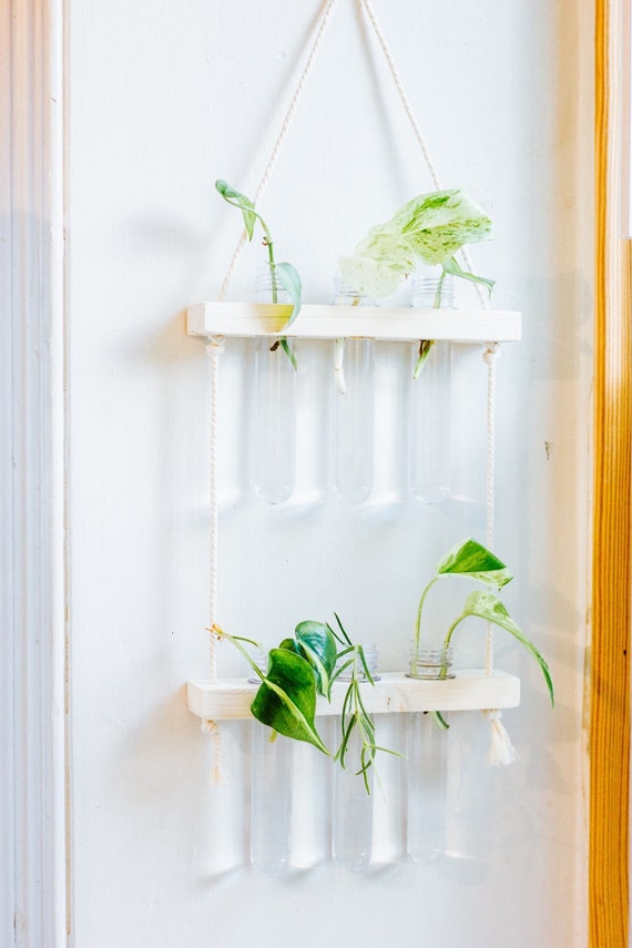 Hanging Propagation Station Can Stand on it’s Own Water Propagation Pick a Size Hydroponic station 7 Vial • 5 Vial • 3 Vial Hanging Propagation Station Can Stand on it’s Own Water Propagation Pick a Size Hydroponic station 7 Vial • 5 Vial • 3 Vial