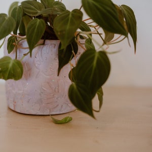 6&quot; Monstera Print Planter