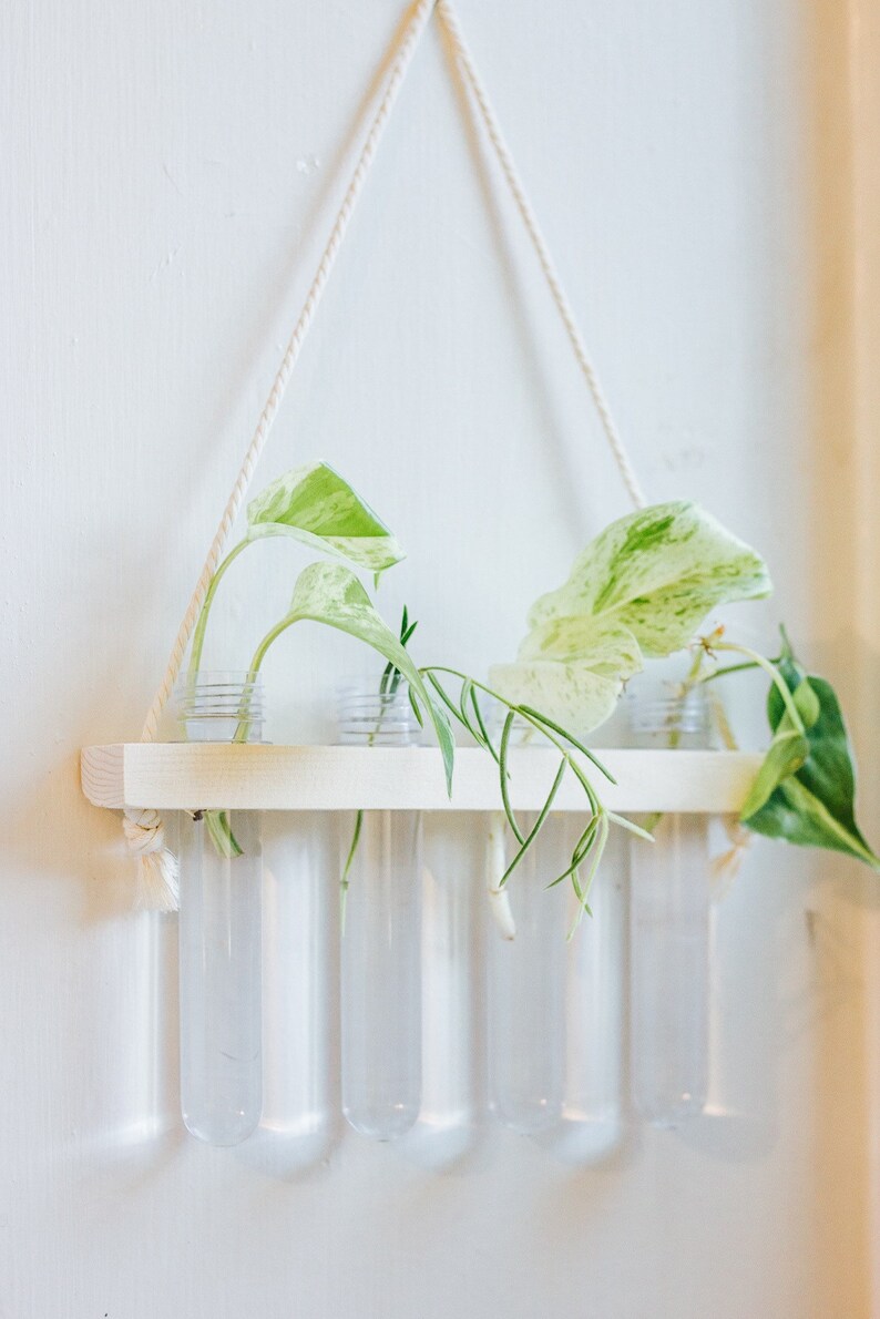 Hanging Wall Propagation Station Cutting Organizer 4 Vial Etsy