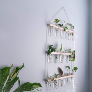 Hanging Propagation Station | Multiple sizes available | Plant Clippings/Flower Vase
