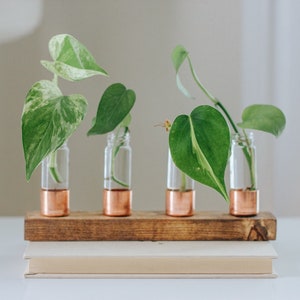 Copper Propagation Station Vessel Flower Buds Vase