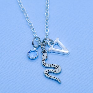 May include: A silver necklace with a blue crystal charm, a snake charm, and a triangle charm.