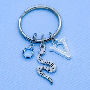 May include: Silver key ring with a blue gem, a snake charm, and a letter V charm.