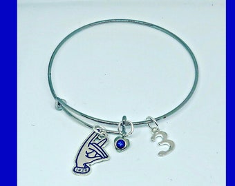 Zeta Phi Beta Sorority, Inc., Pretty Kitty SILVER color personalized sorority inspired charm bracelet