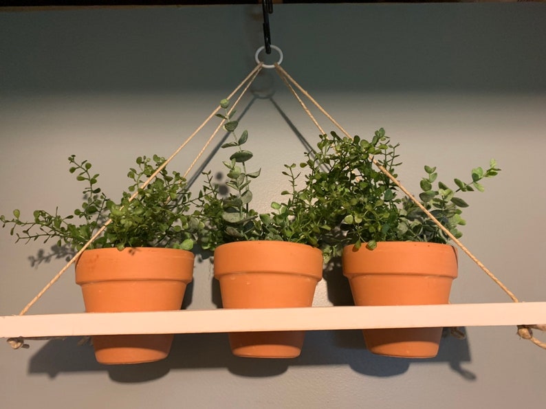 Hanging Planter